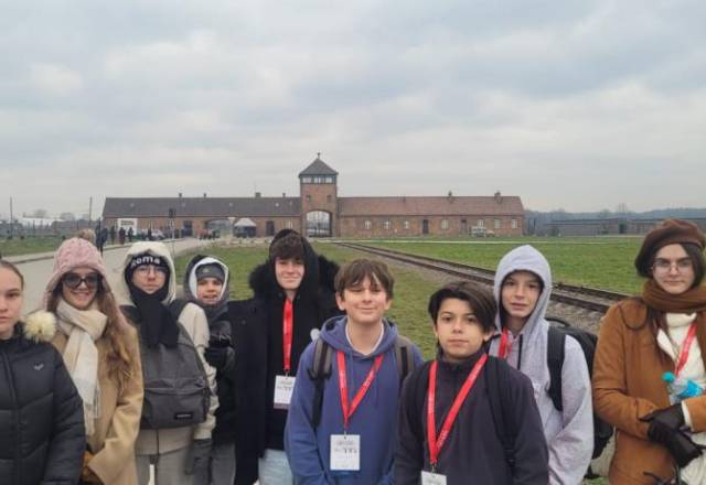 mini WhatsApp Image 2025 12 04 at 16.37.43 (2)