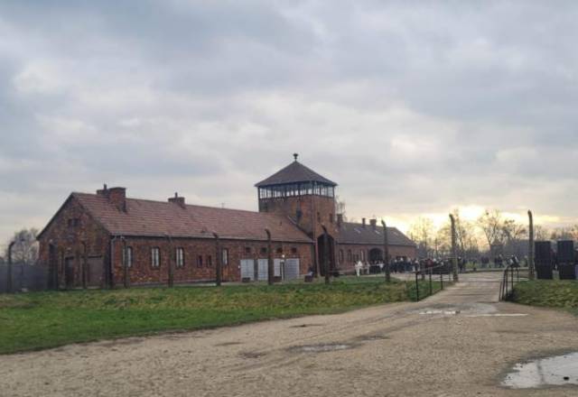 mini WhatsApp Image 2025 12 04 at 16.37.43