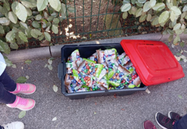 mini chasse3
