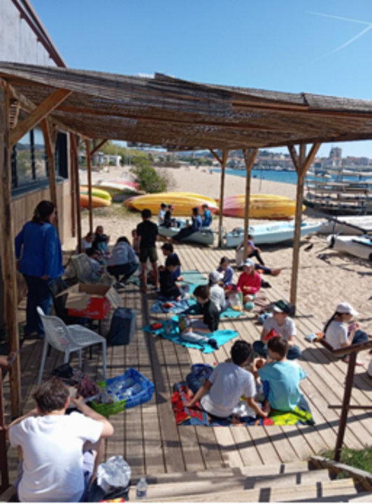 mini voile4