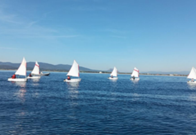 mini voile1