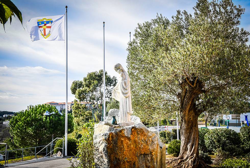 institut stanislas historique
